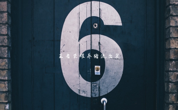 王者荣耀养猪流出装
