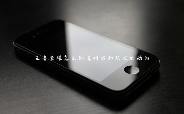 王者荣耀怎么知道对方和队友的动向 王者荣耀怎么知道对方和队友的动向
