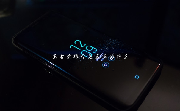王者荣耀谁是真正的野王