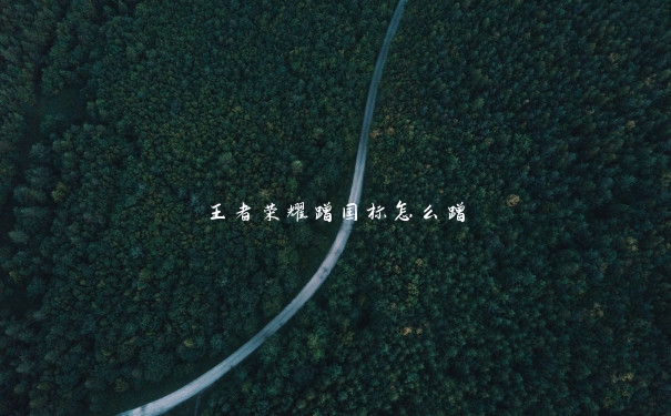 王者荣耀蹭国标怎么蹭 王者荣耀蹭国标怎么蹭